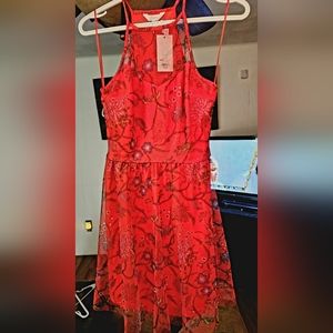 Candie's small red mesh halter dress.
